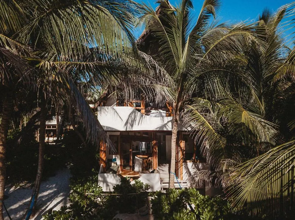 Beautiful House On Beach Zone Tulum 0*,  Mexico