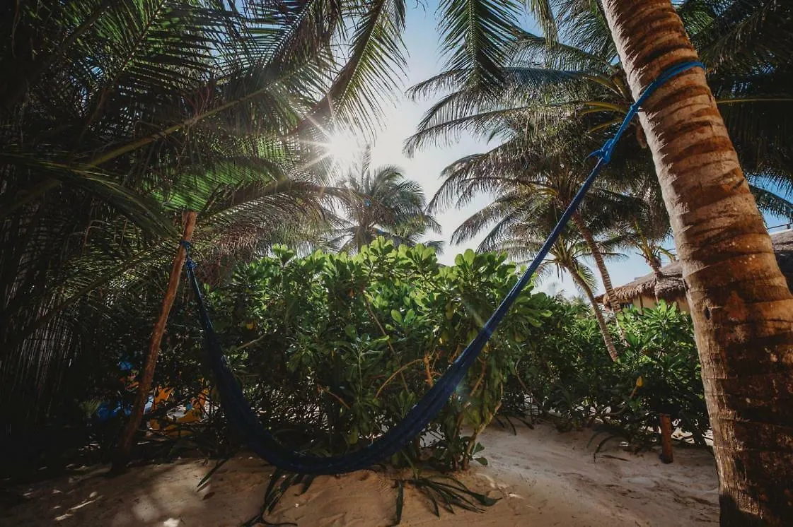 Beautiful House On Beach Zone Tulum 0*,