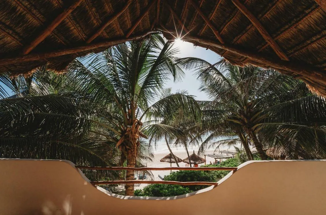 Beautiful House On Beach Zone Tulum Mexico