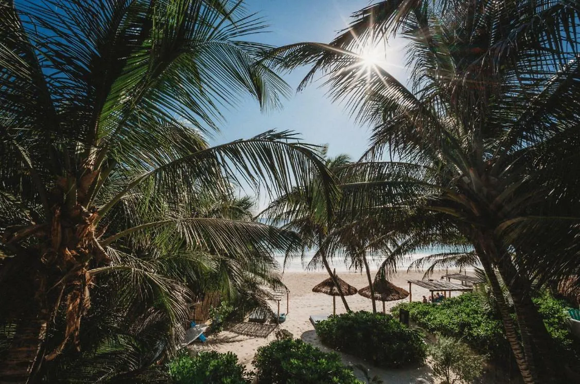Вилла Beautiful House On Beach Zone Тулум Мексика