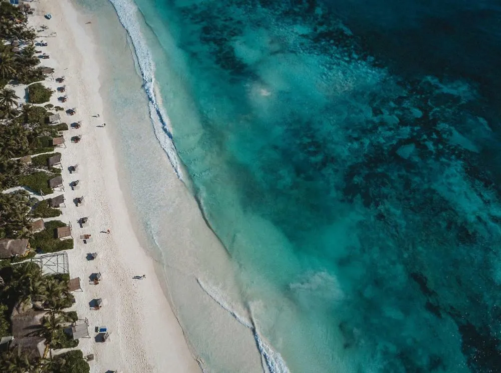 Villa Beautiful House On Beach Zone Tulum Mexico