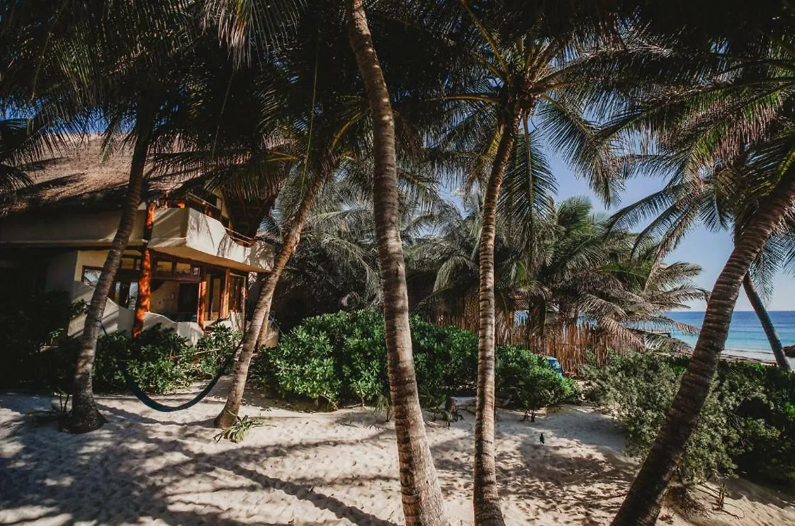 Beautiful House On Beach Zone Tulum Villa